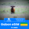 Gabon Travel eSIM
