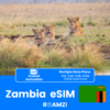 Zambia Travel eSIM